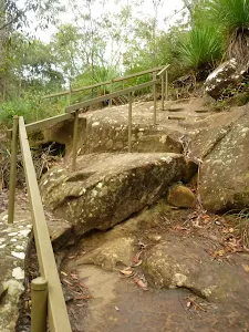 Steps on the Blue Gum walk south of Fishponds