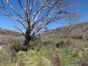 following the track through the valley