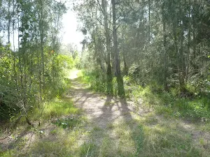 Track on the Galgabba Point Loop