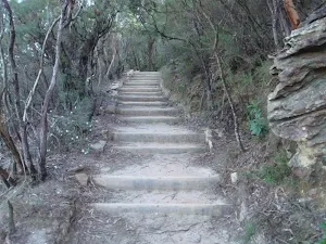 Track east of Wentworth Falls Lookout