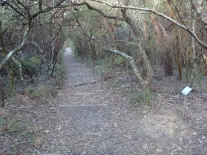 Track down from Gordon Park