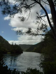 Berowra Creek