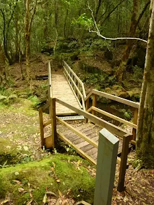 Timber bridge crossing creek near the moss wall in the Watagans