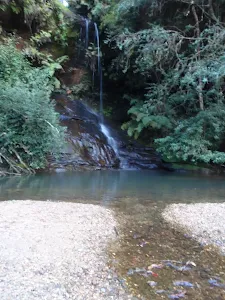 Lyrebird Dell walk