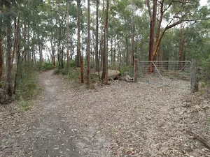 locked gate beside walk