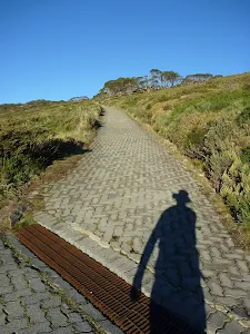 Path near Snowy River looking up towards Charlotte Pass