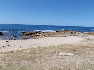 Shelley Beach