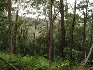 Looking further into the valley