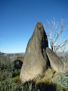 Bob's Ridge Trail