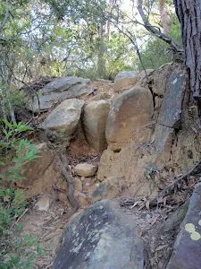 Rough track at end of service trail to waters edge