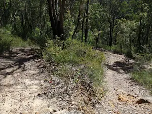 Zig zag in track near Oaks Fire Trail