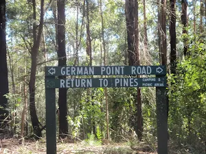 Intersection with German Point Rd in the Watagans