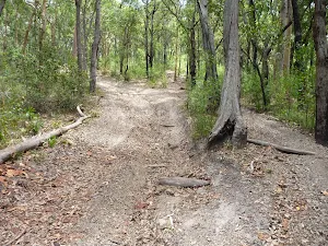 Steeply uphill trail on the Wallarah Pennisula