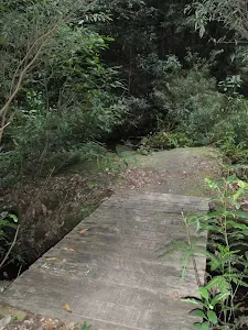Bridge over the creek