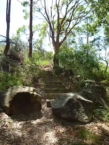 Steps uphill on the coastal walk in the Wallarah Pennisula