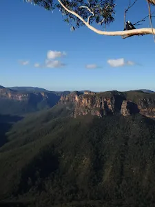 Evans Lookout