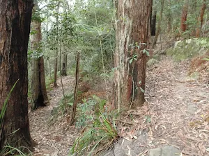 Switchback in track