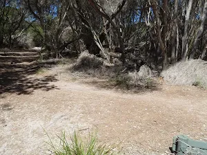 Track away from the dunes to Hobart Beach camping area