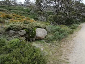 Diverse scenery on the Summit Walk