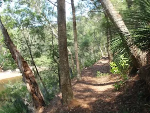 Along the Warrimoo Track