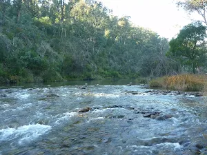 Swampy Plains Creek near Kebbles Hut
