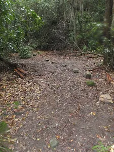 Rocks lining track through Victory Track clearing