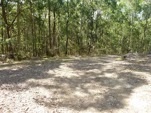A wide fire trail in Green Point Reserve