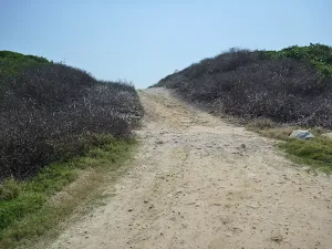 Cape Banks management trail near La Perouse