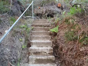 Steps above Lyrebird Dell