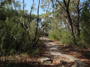 Following the Bluff Track service trail