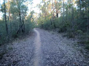 Management trail to Euroka camping area