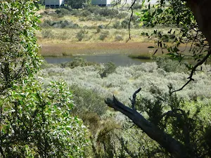 Glimpse of the pondage from the Pipeline Path