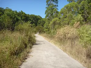 Zig Zag track in Green Point Reserve