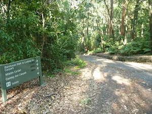 Intersection and sign in the Blackbutt Reserve