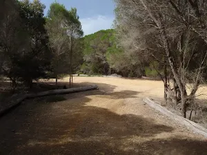Bournda Beach car park