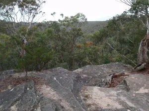 Blue Mountains (Springwood)
