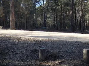 Track across Bournda Rd