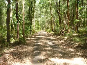 Uphill trail near Richley Reserve in Blackbutt Reserve