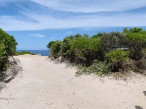 Coast Track