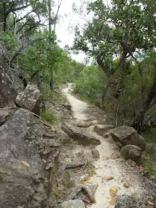 Rocky track north of Elouera lookout