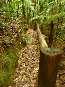 Timber post and railing close to Muirs Lookout near Muirs Lookout