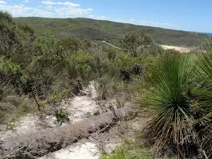 Eroded section of the Grass Tree Track