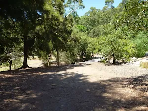 Trail intersection at Richley Reserve