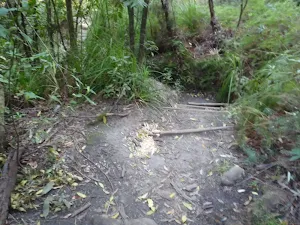 Dirt Path