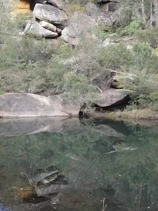 Jellybean Pool