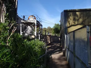 heading up to the scenic world main entrance