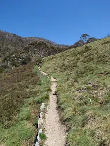 Walking along the DHG track