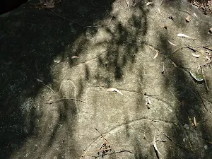 Blackfellow Head Engravings
