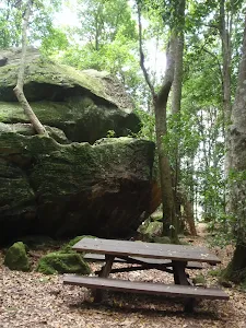 Carrington Park to Leura Forest and pass loop
