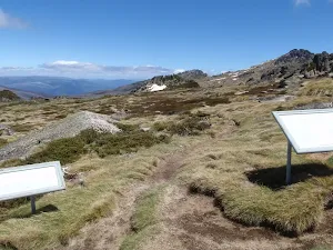 Tree line information signs with a view